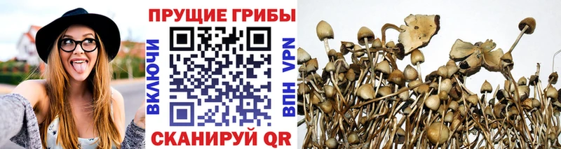 Галлюциногенные грибы Magic Shrooms Якутск